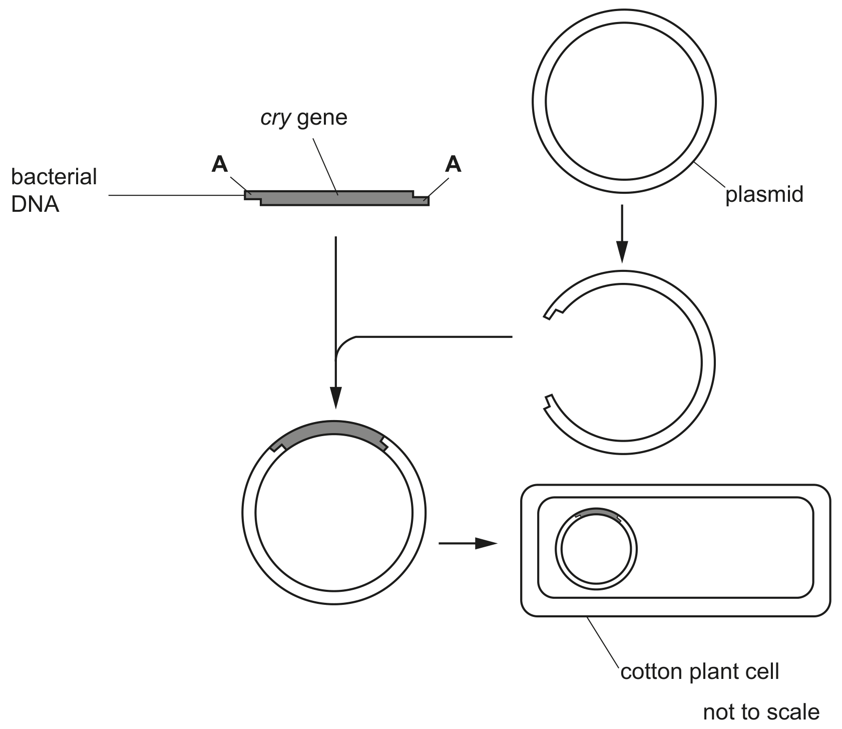 Fig. 3.2