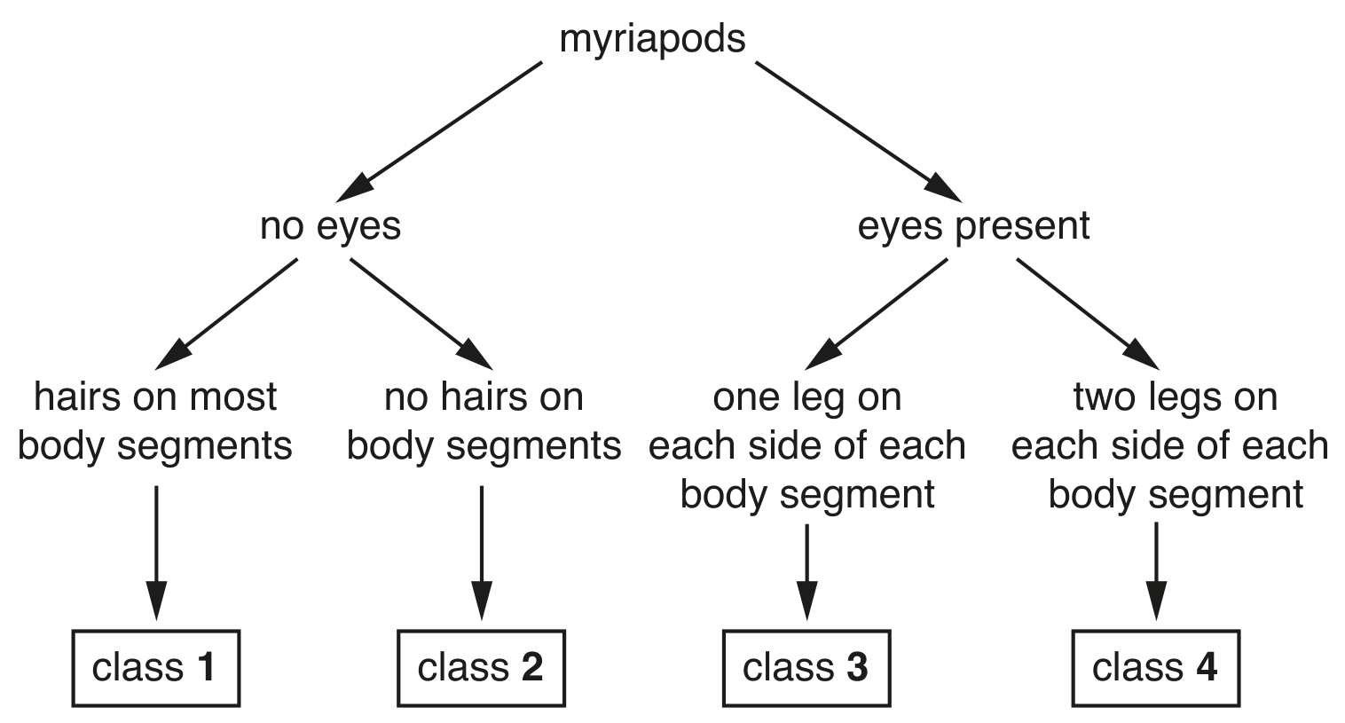 Fig. 1.2