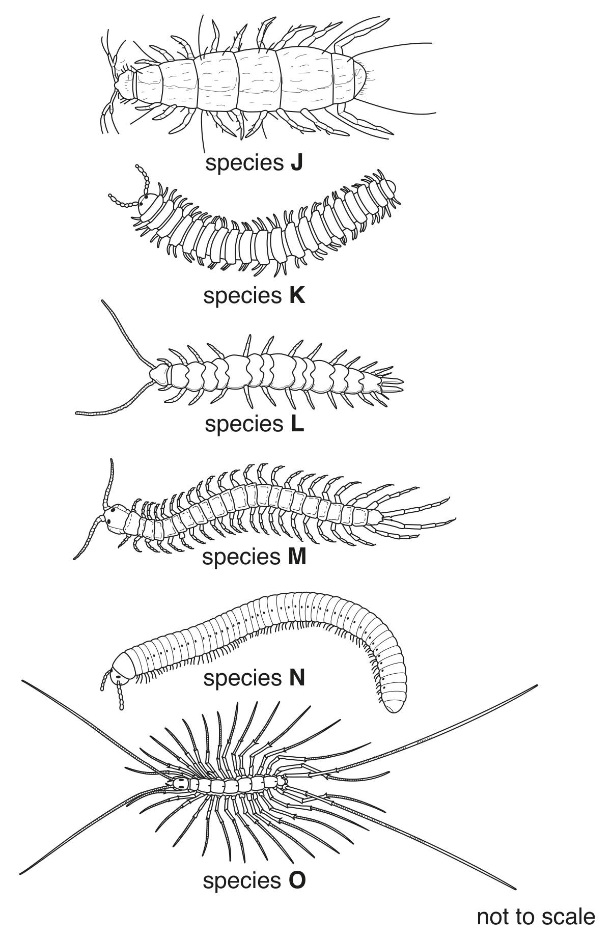 Fig. 1.3