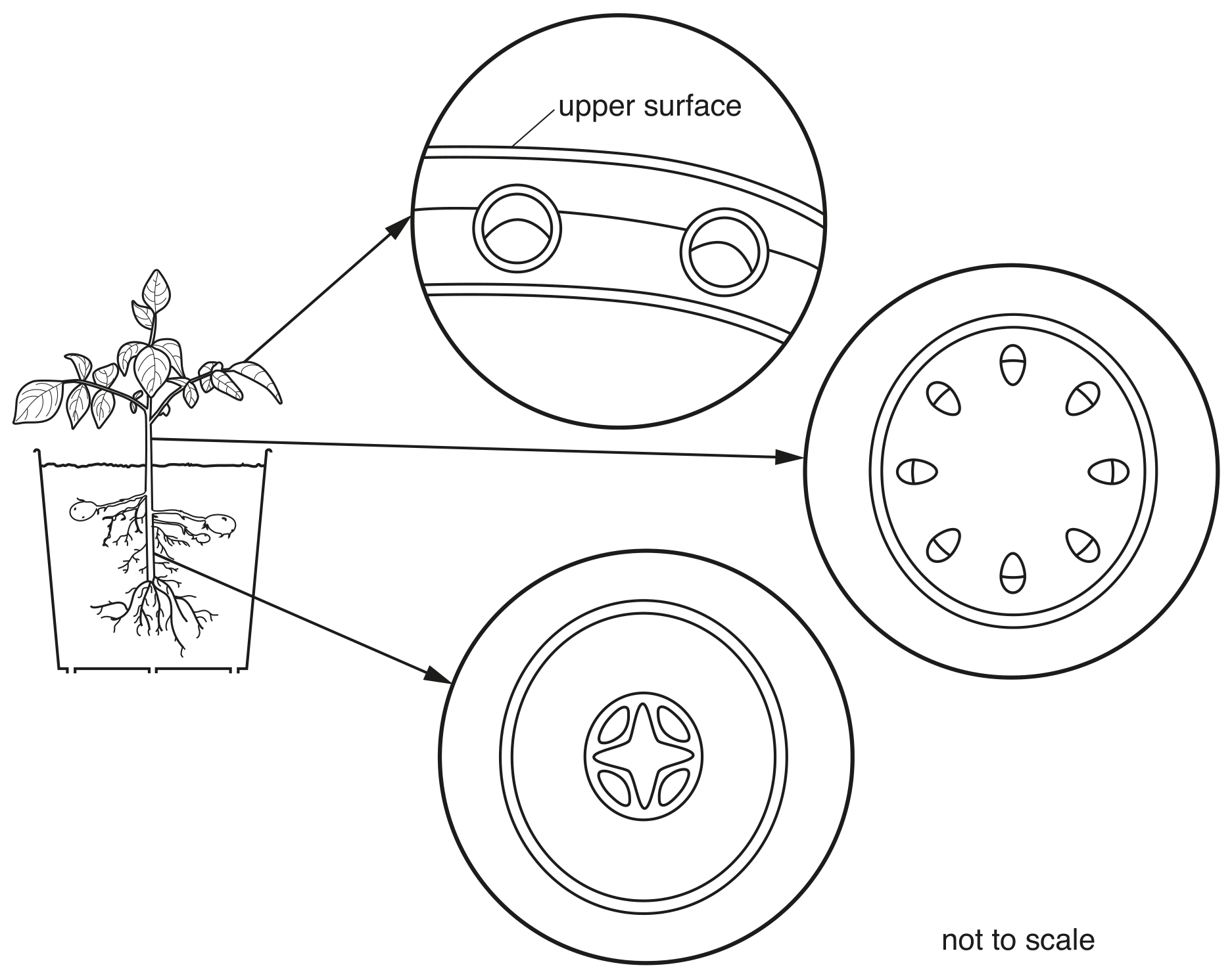 Fig. 2.1