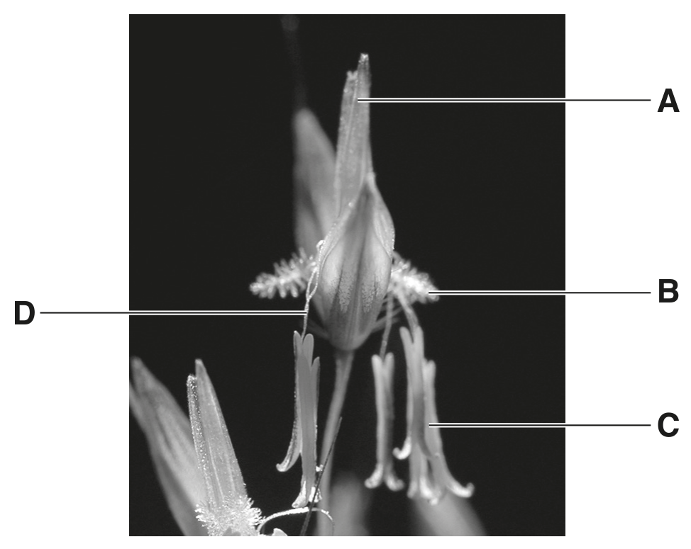 Fig. 5.1