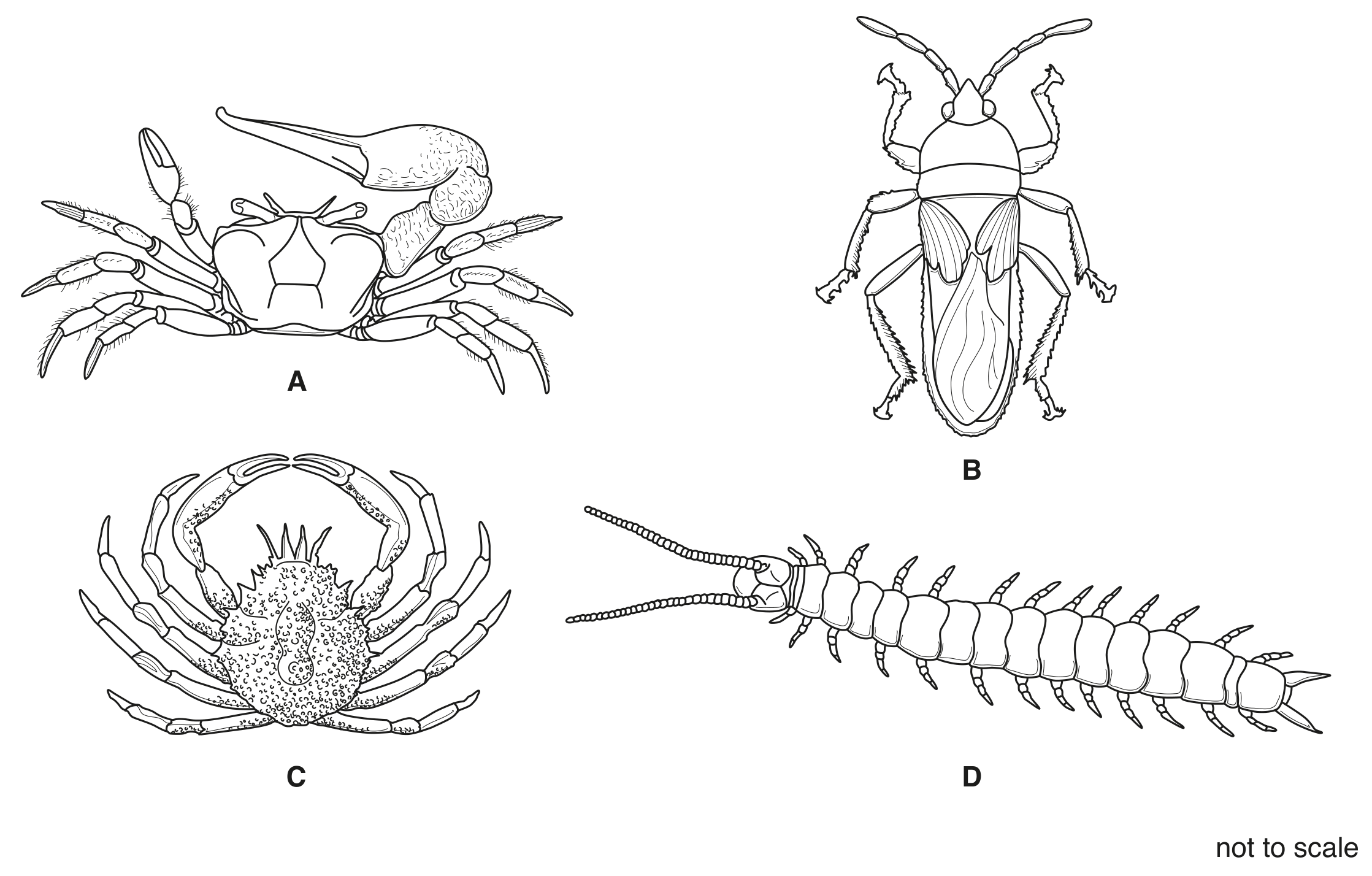 Fig. 1.1