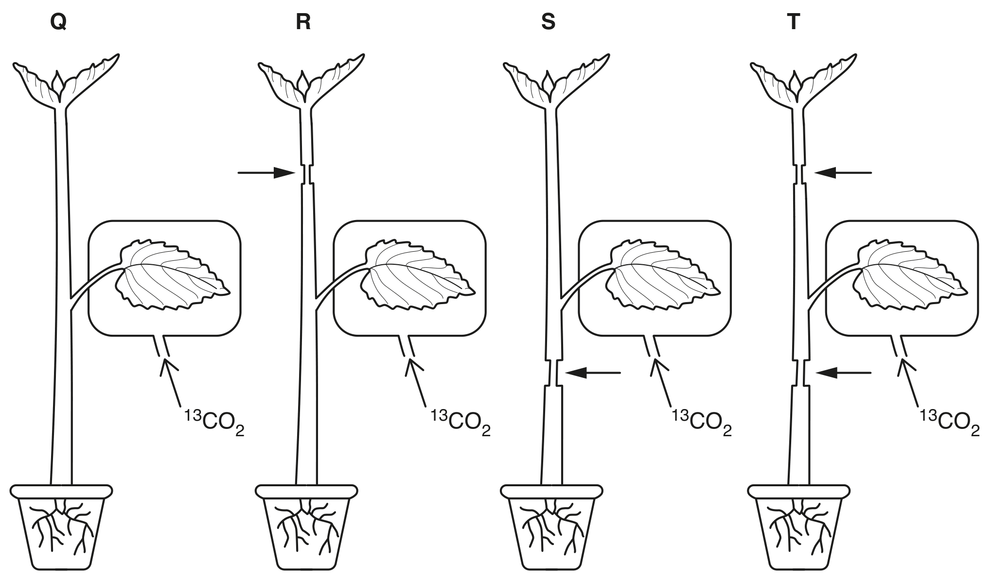 Fig. 2.3