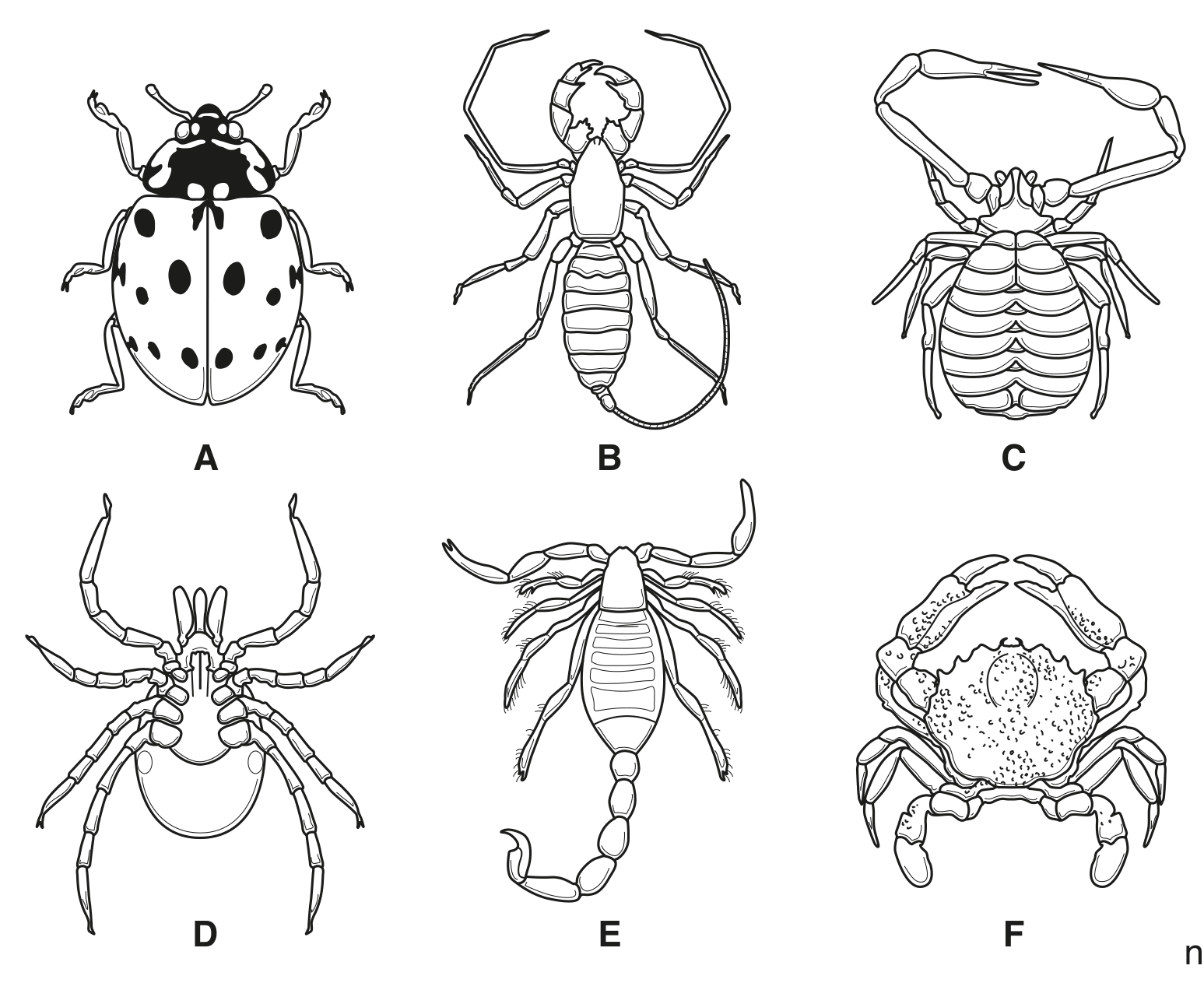 Fig. 1.2