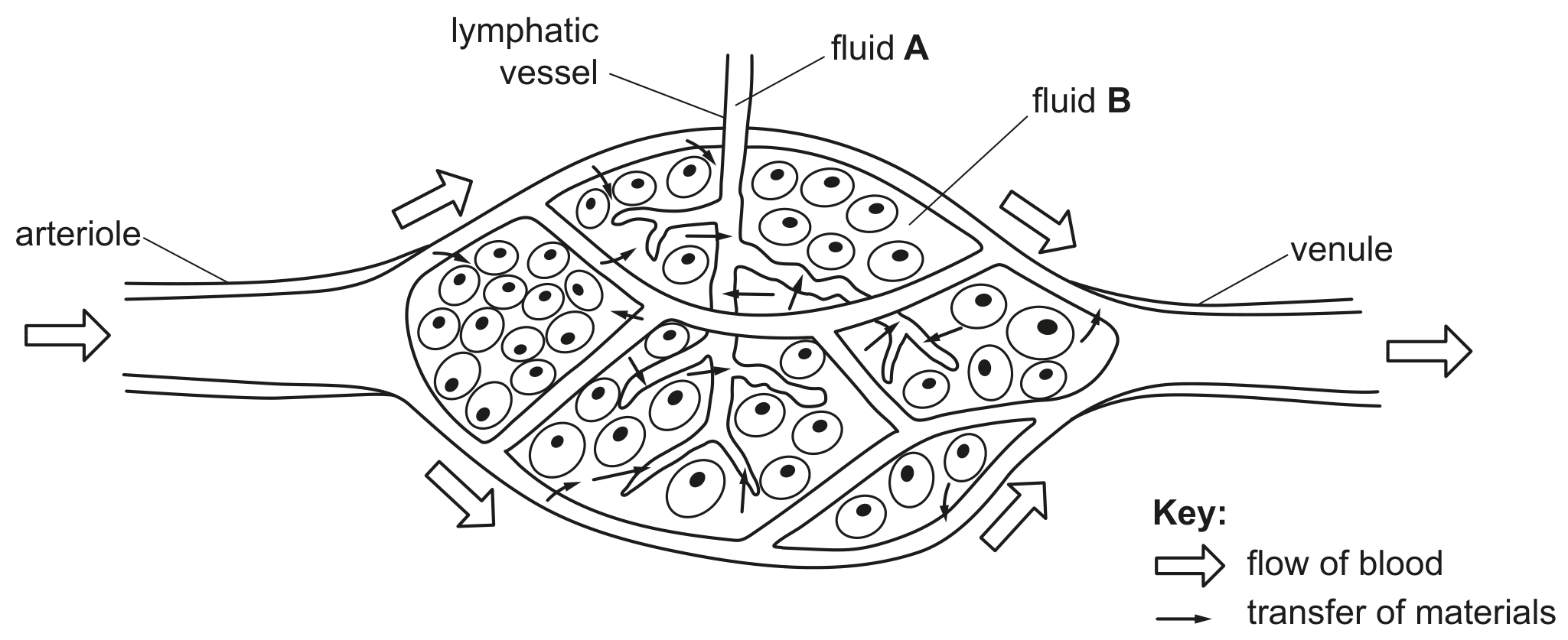Fig. 2.1