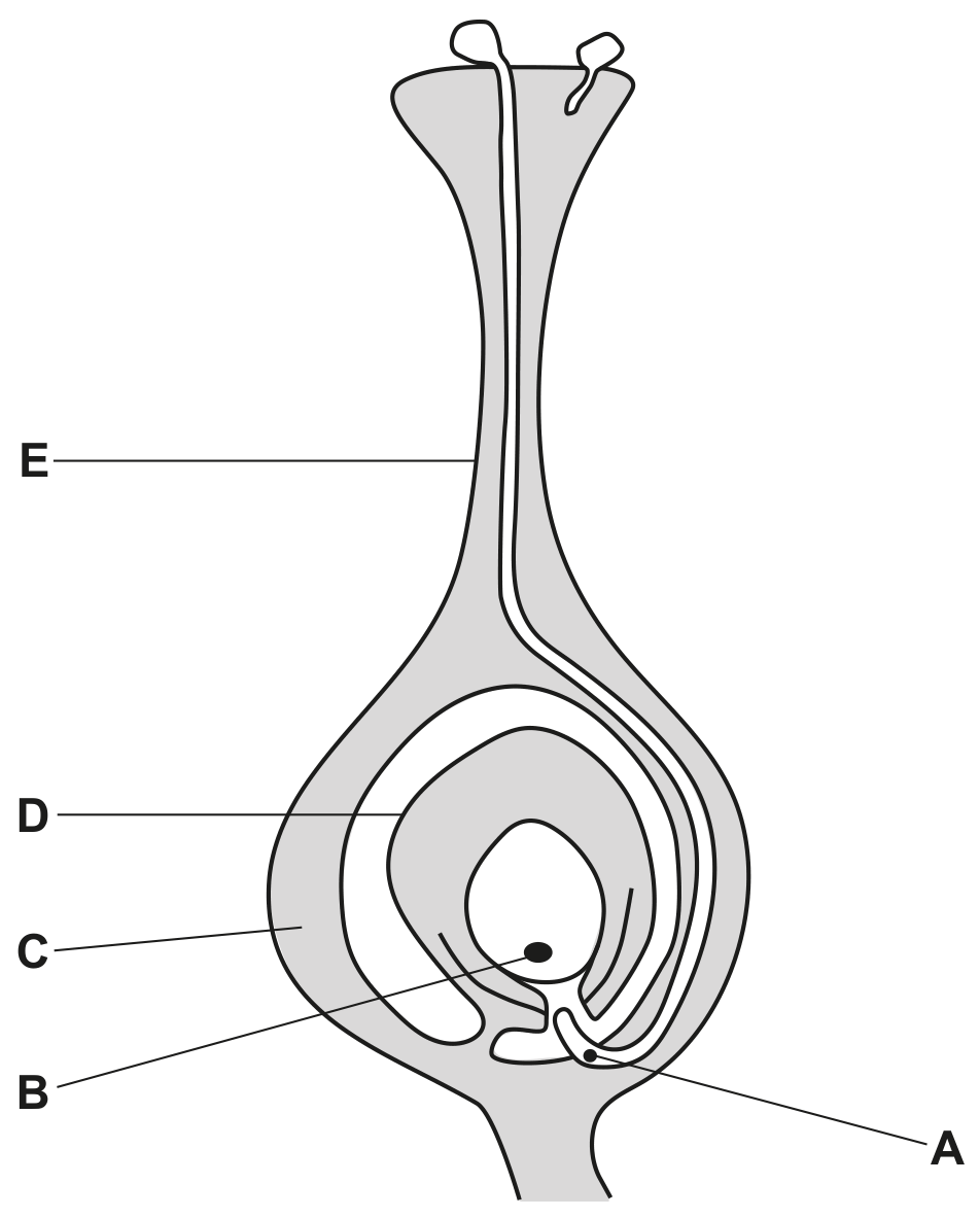 Fig. 4.2