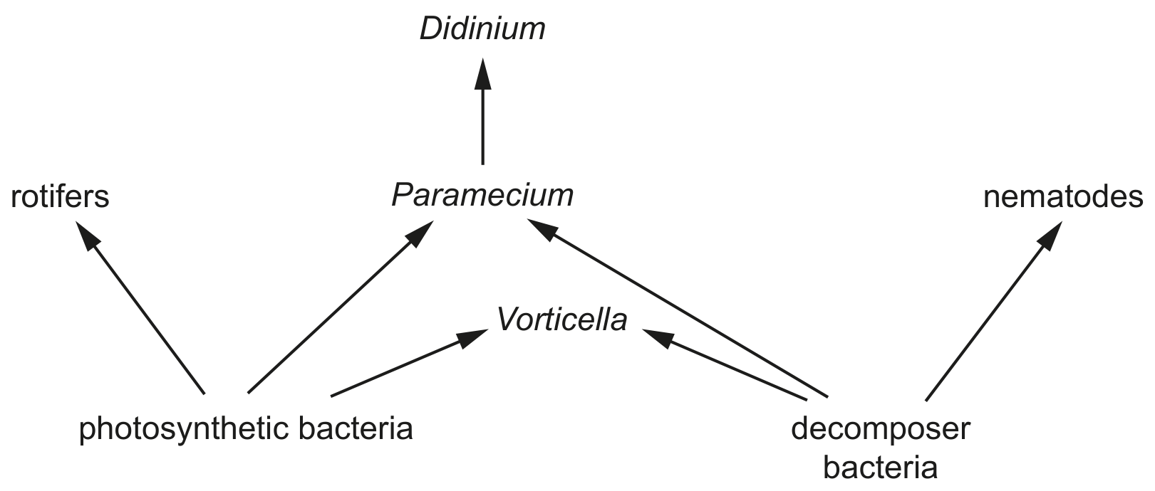 Fig. 5.4