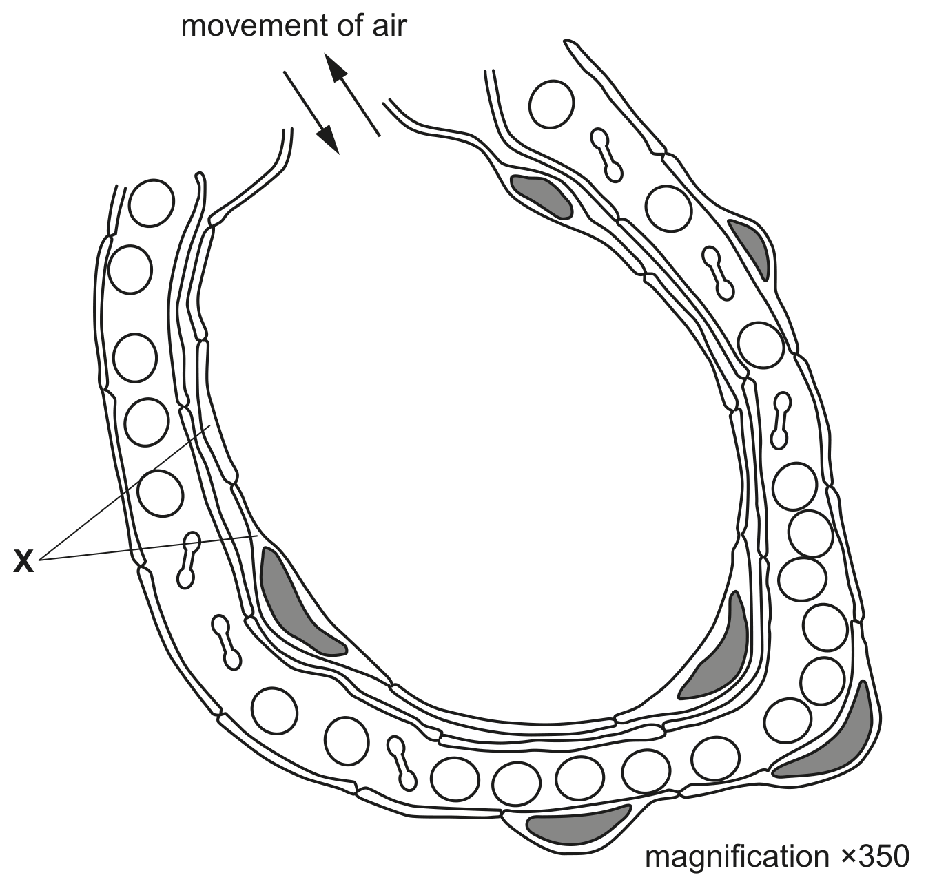 Fig. 1.2