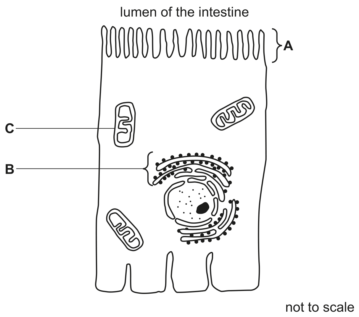 Fig. 3.2