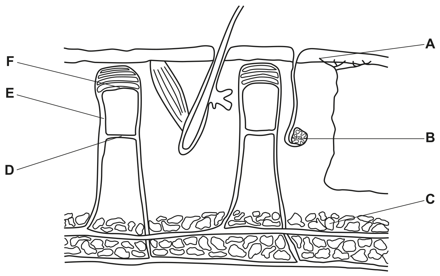 Fig. 1.1