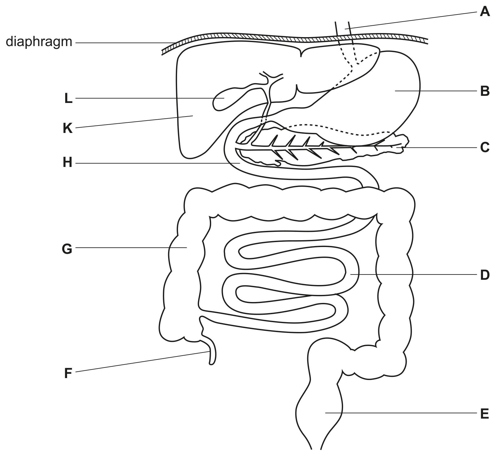 Fig. 1.1