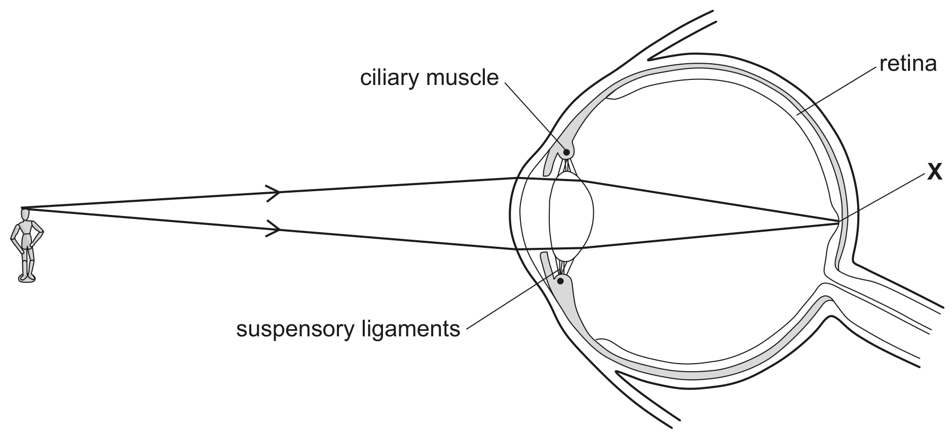 Fig. 1.1