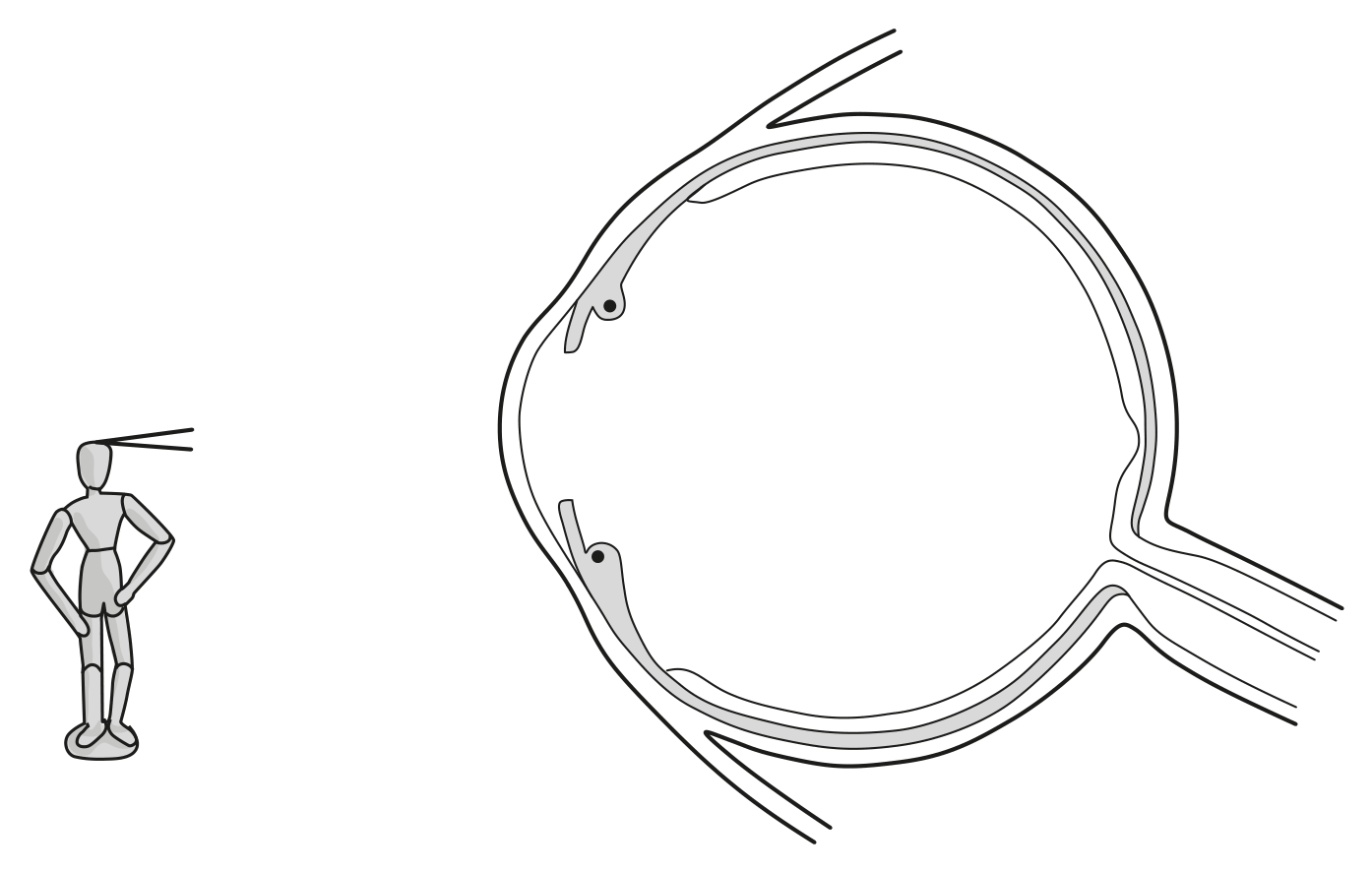 Fig. 1.2