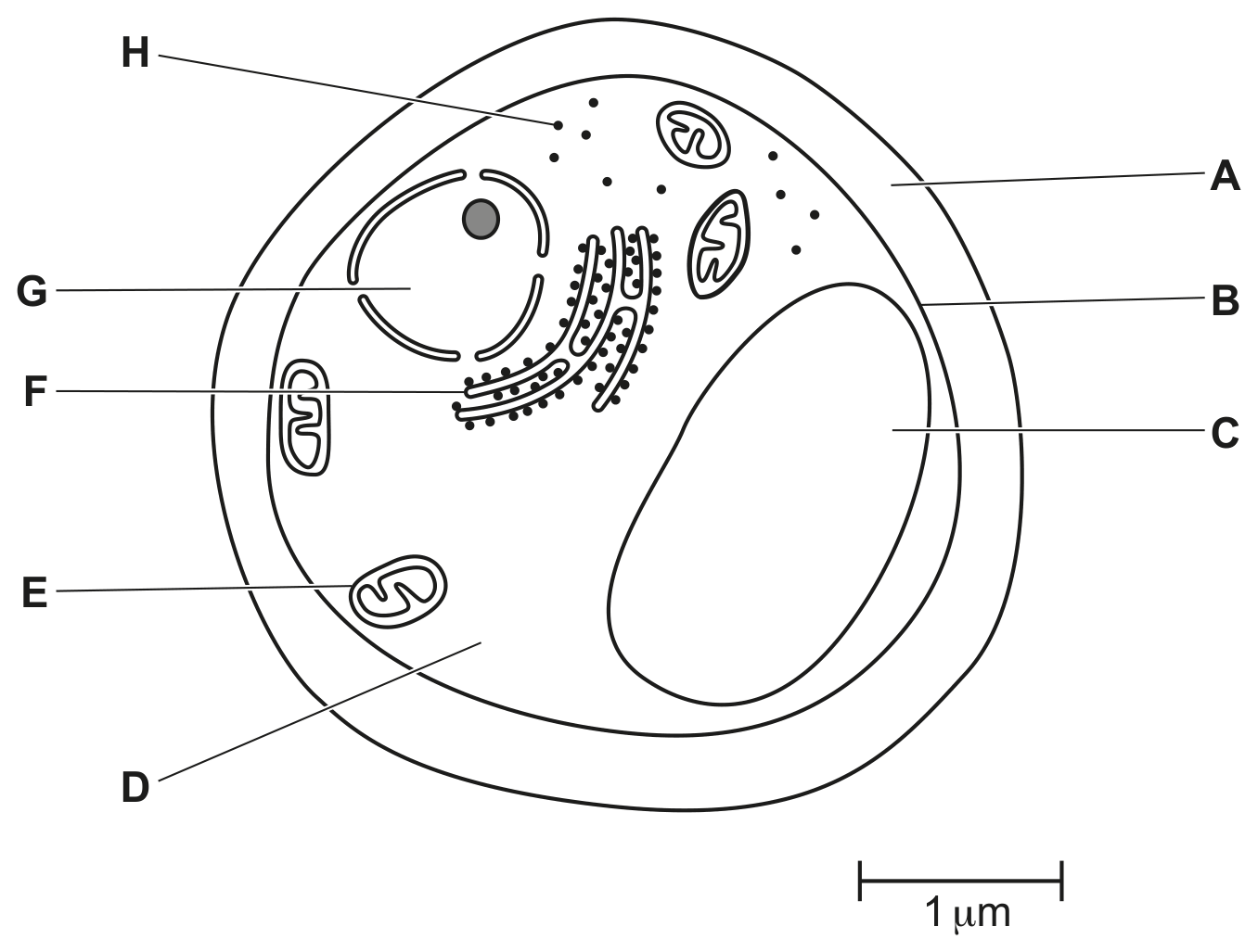 Fig. 1.1