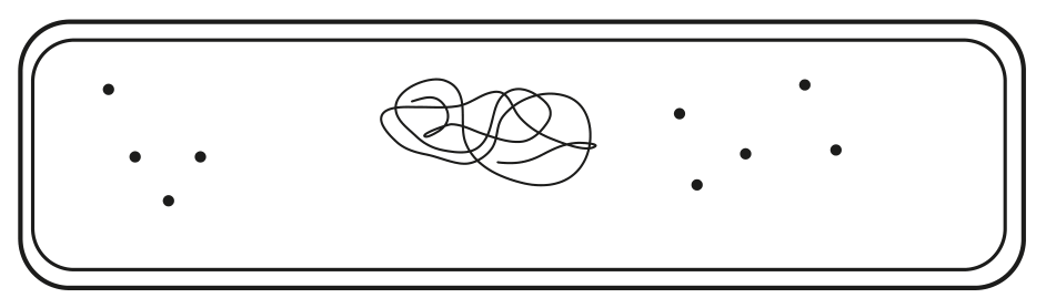 Fig. 1.2