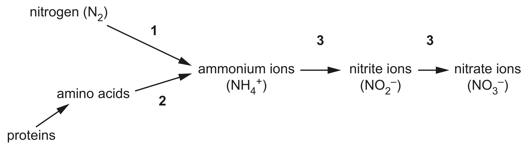 Fig. 1.3