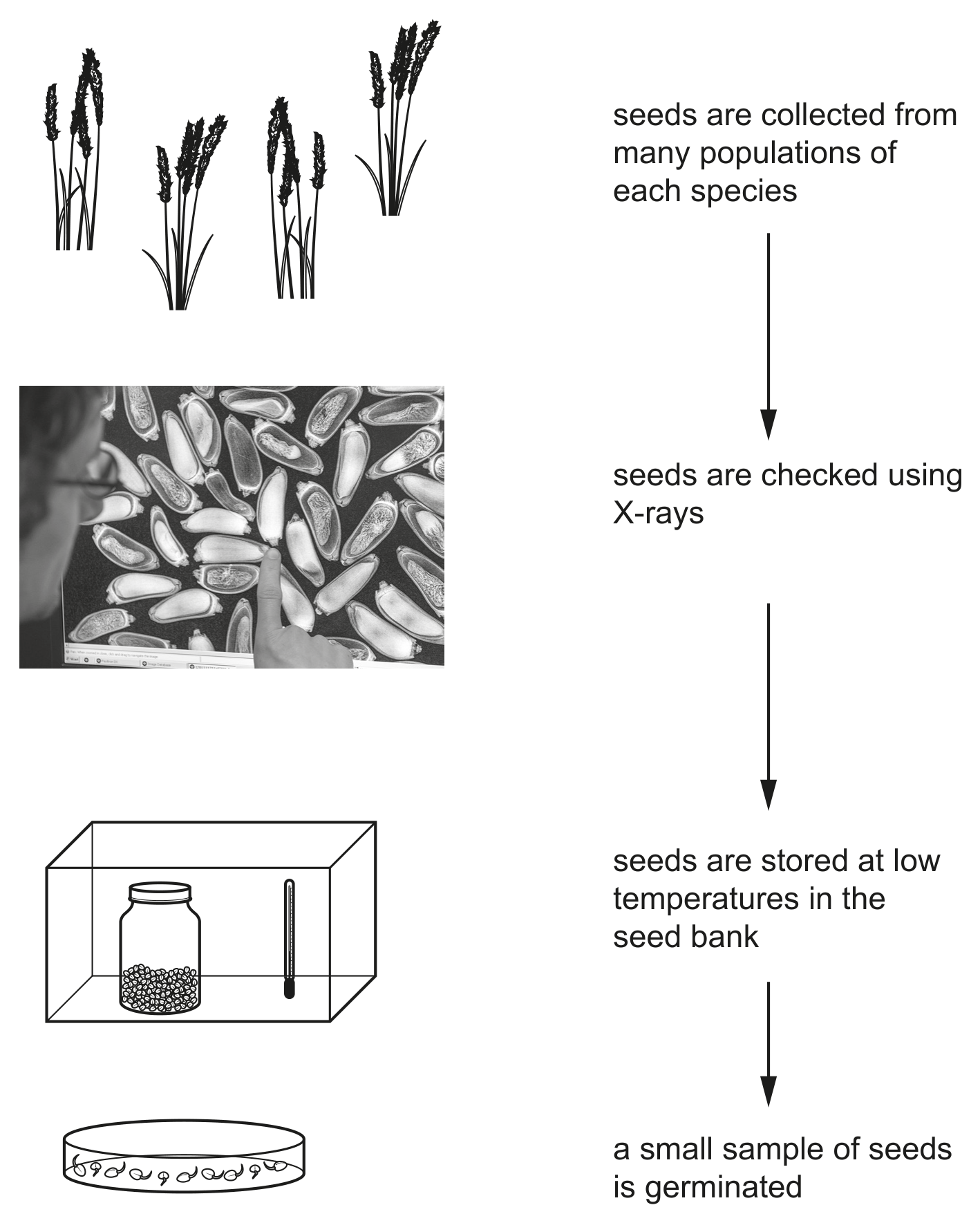 Fig. 4.1