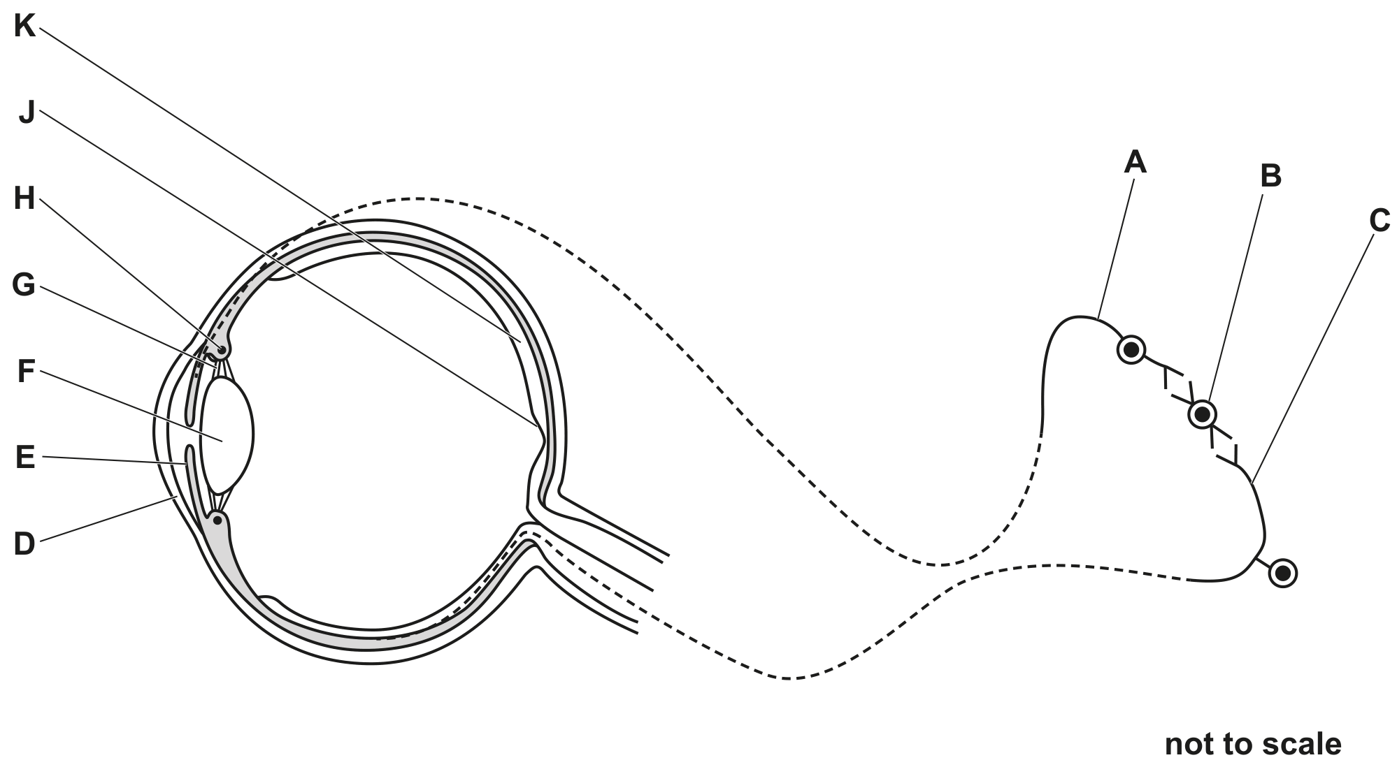 Fig. 1.1