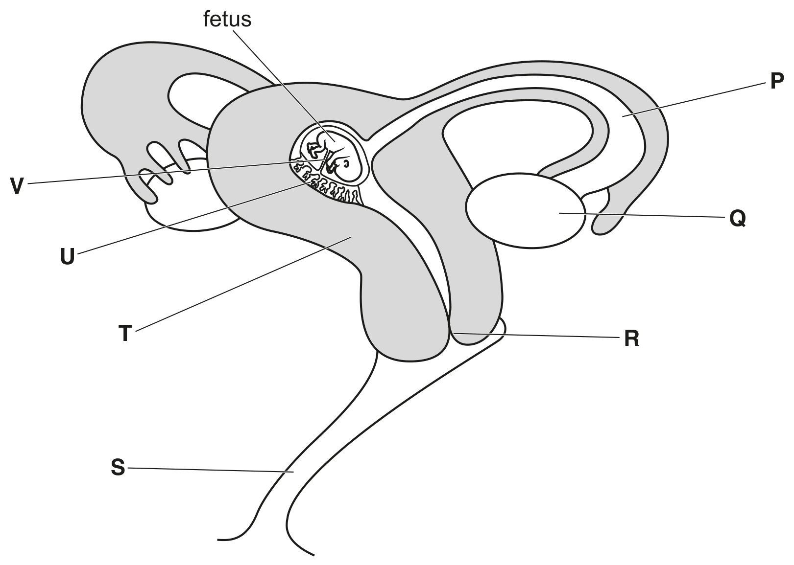 Fig. 3.2