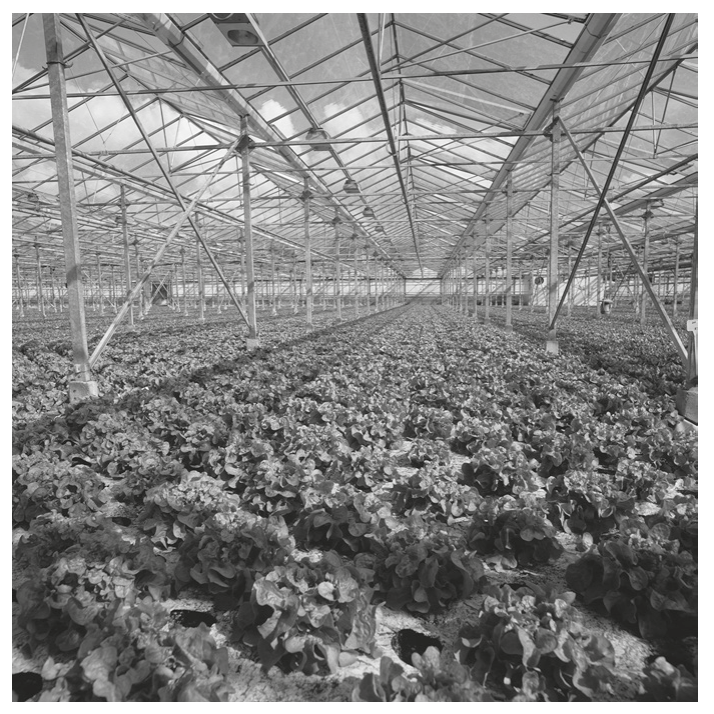 Fig. 3.3