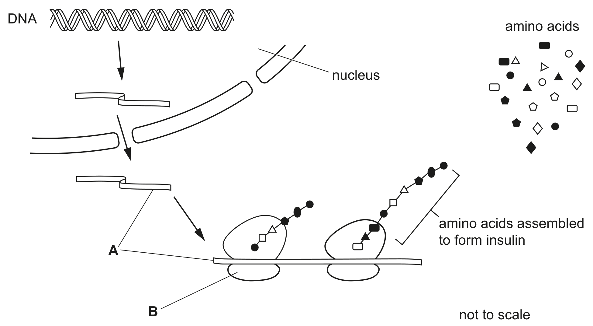 Fig. 2.1