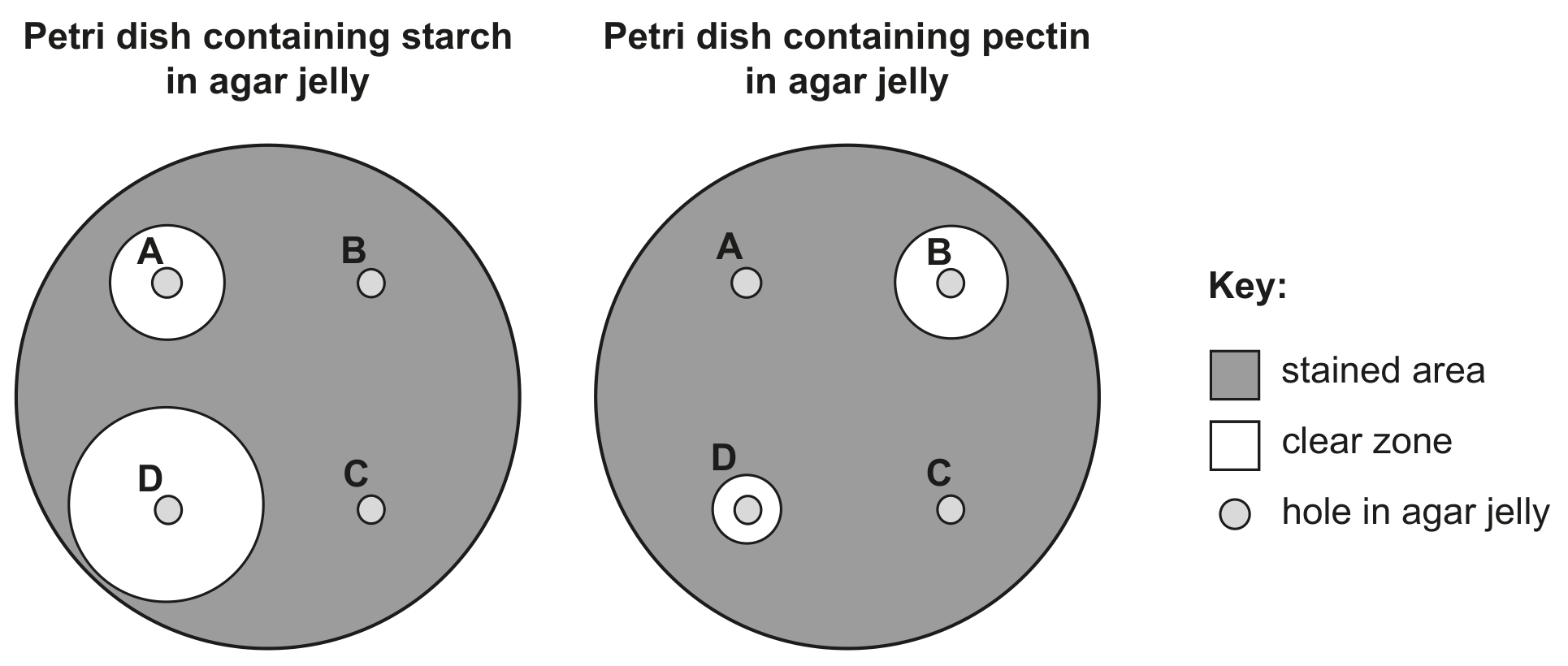 Fig. 1.3