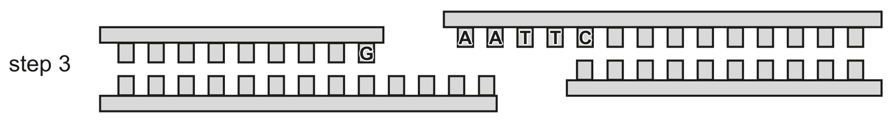Fig. 1.1