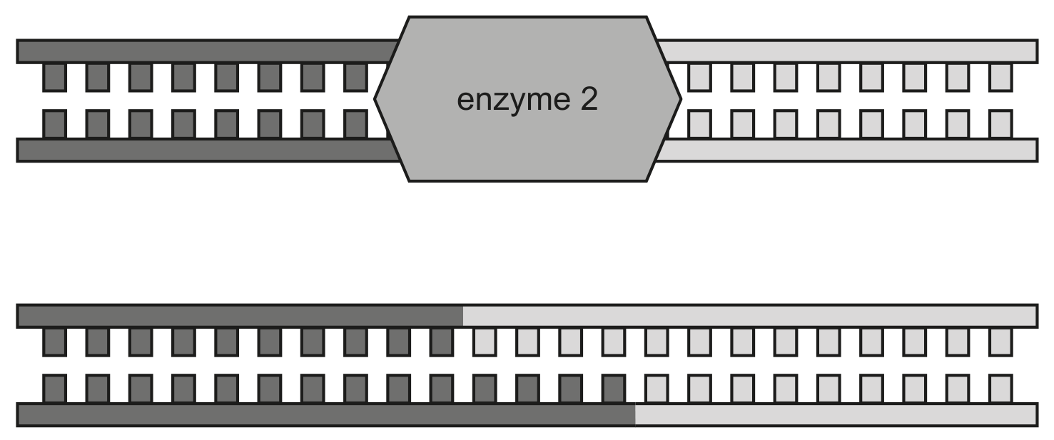 Fig. 1.2