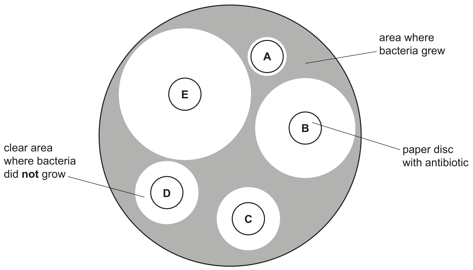 Fig. 4.2