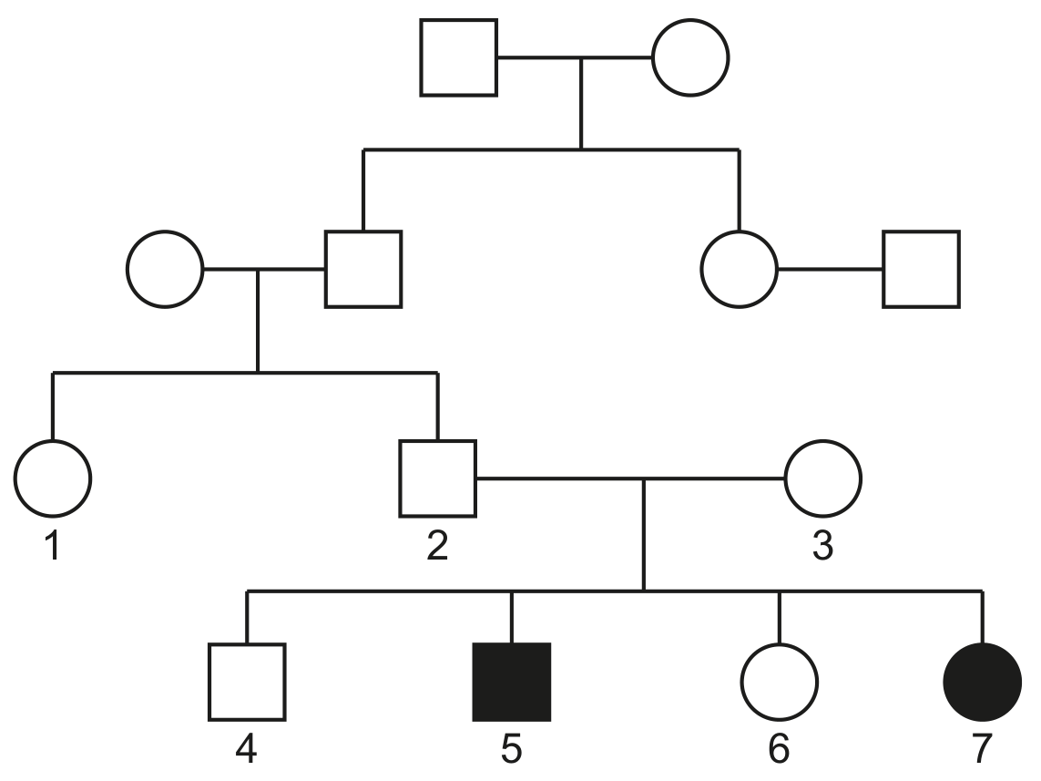 Fig. 3.3