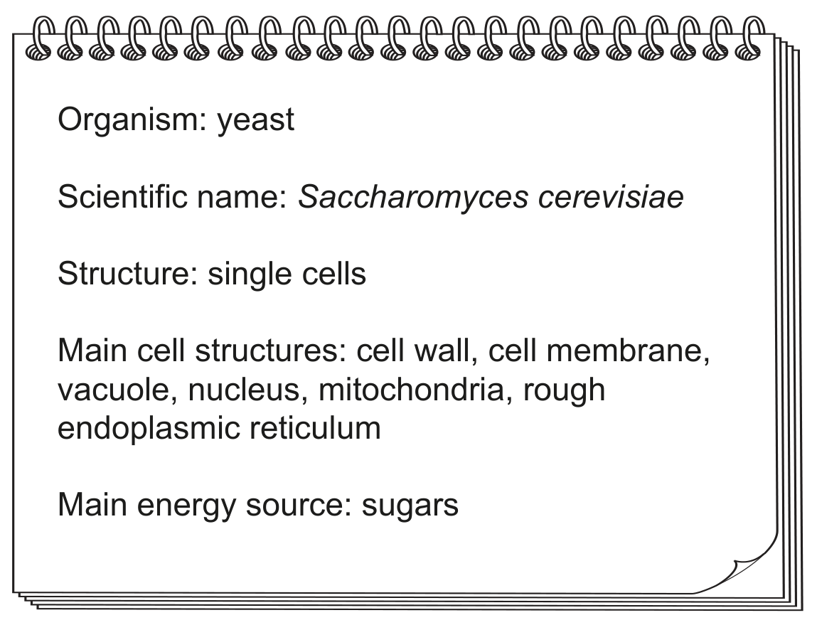 Fig. 1.1