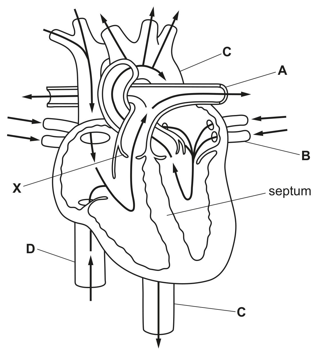 Fig. 2.1