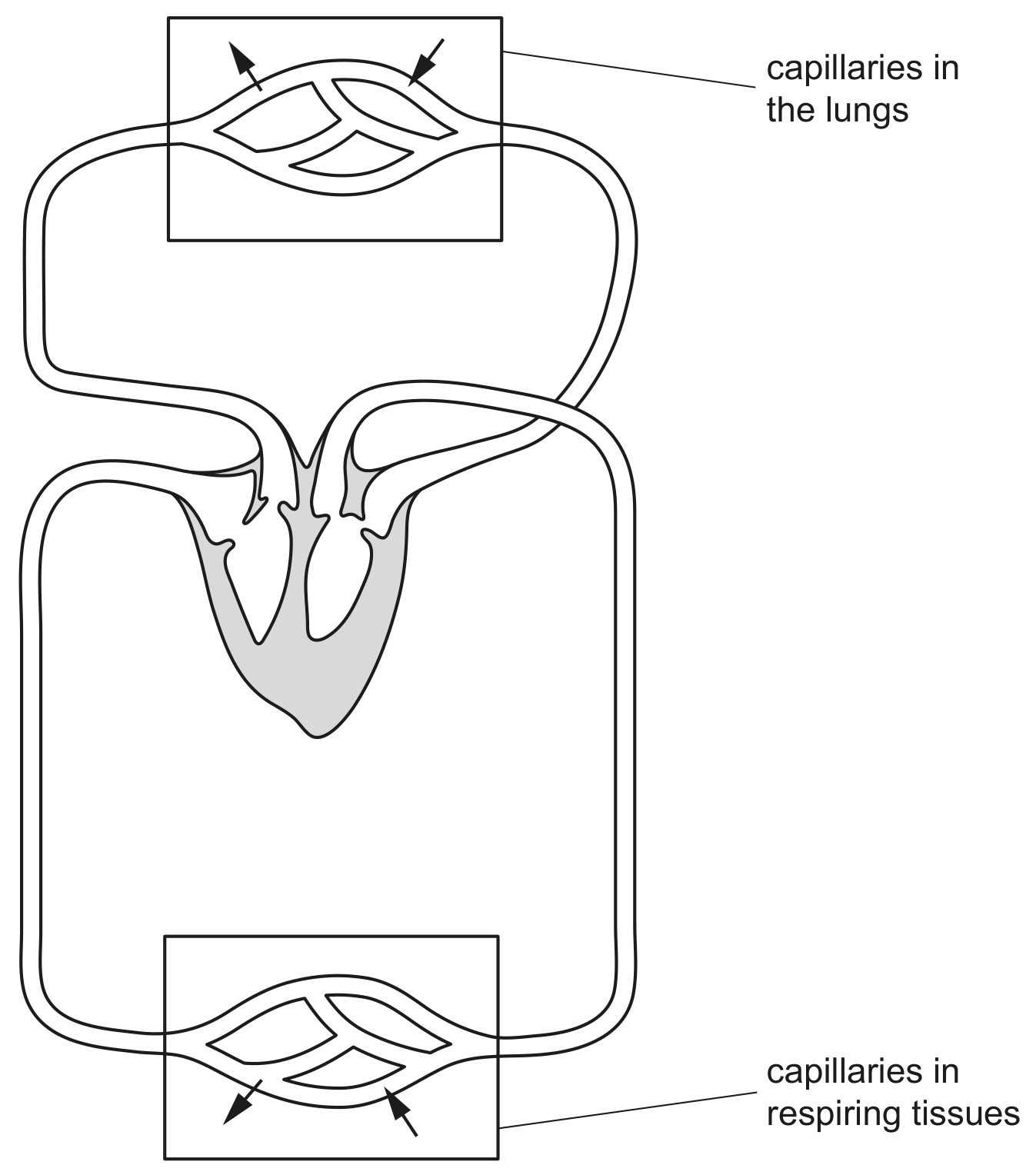 Fig. 2.2