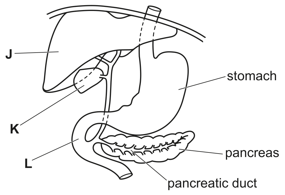 Fig. 3.1