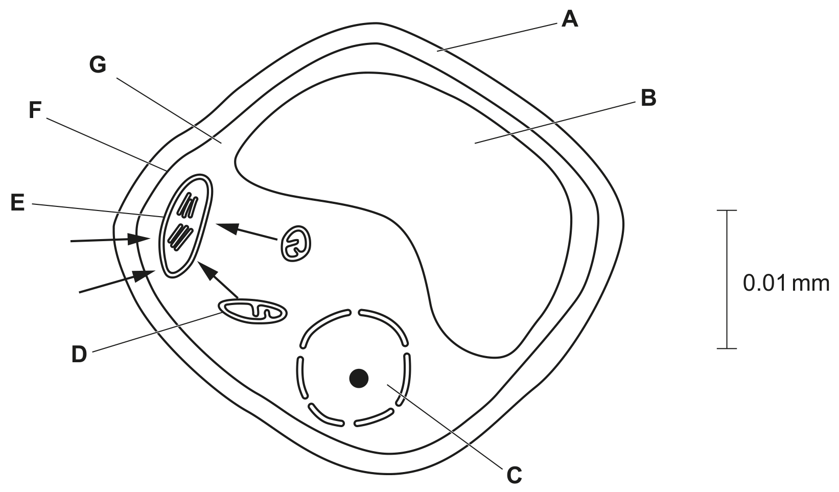 Fig. 1.1