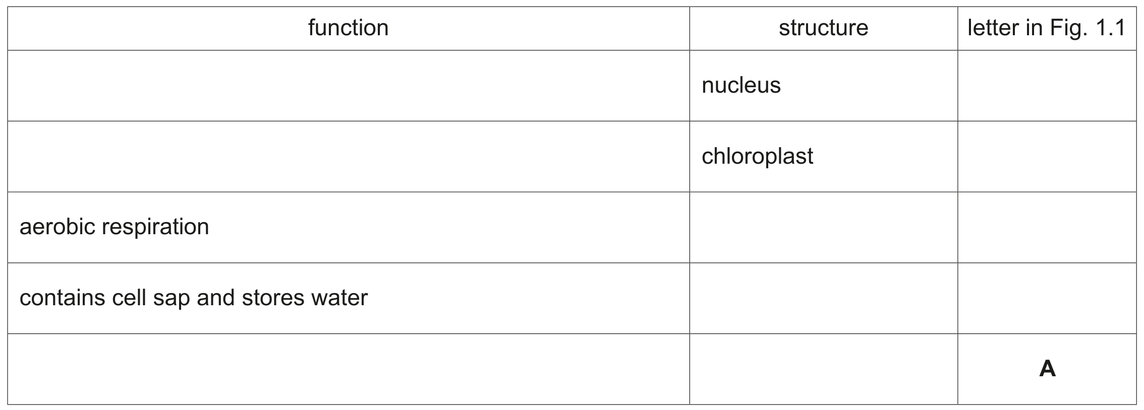 Table 1.1