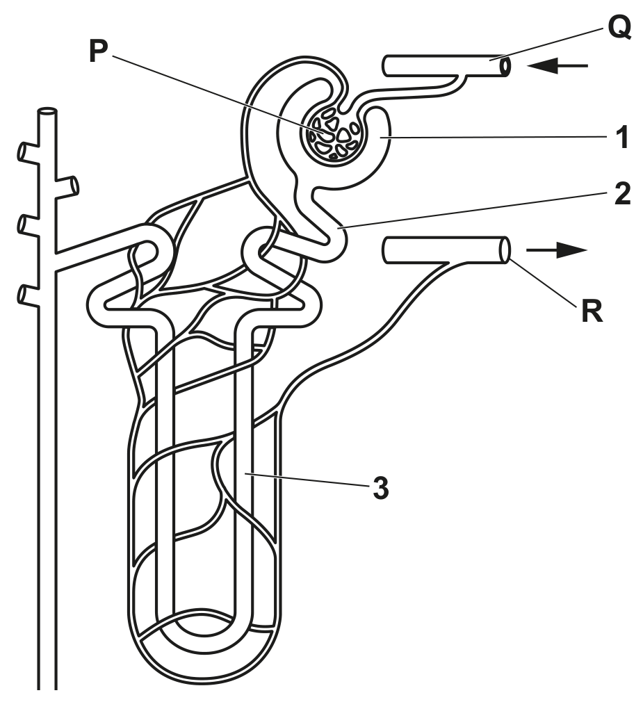 Fig. 2.1