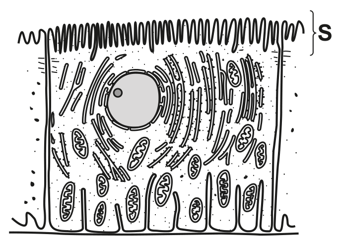 Fig. 2.2