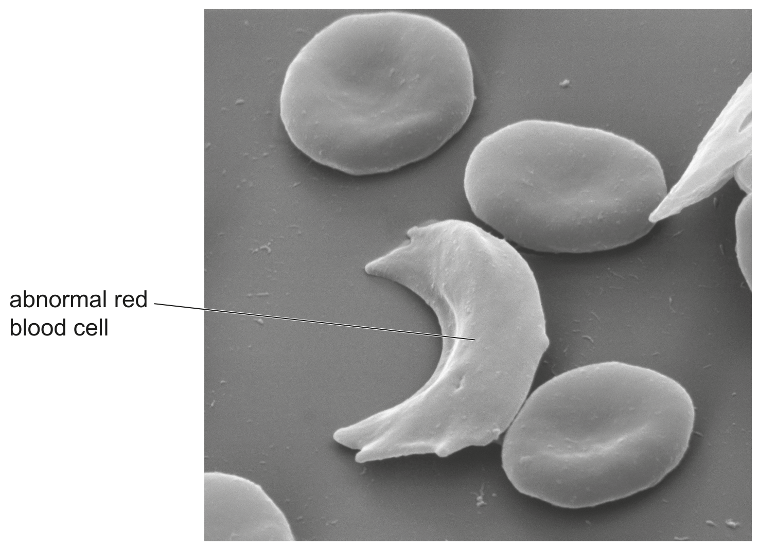 Fig. 2.1