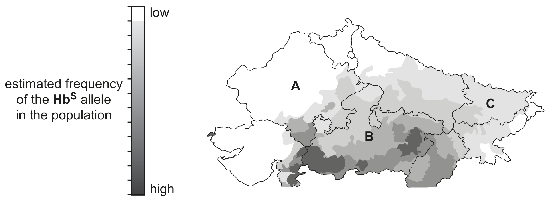 Fig. 2.3 shows the estimated number of babies born with sickle cell anaemia in each region.