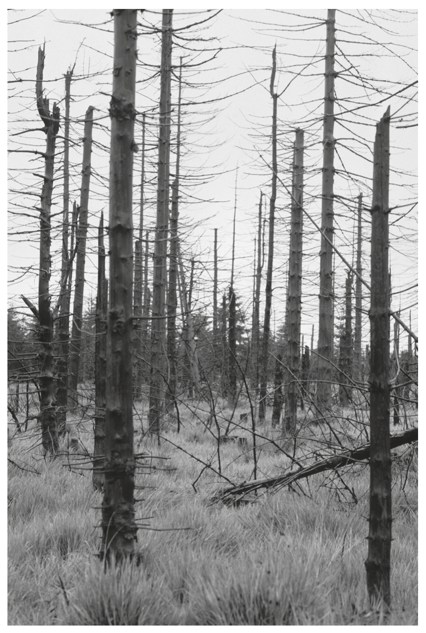 Fig. 3.1