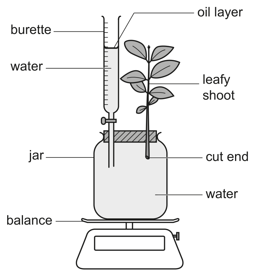 Fig. 3.1