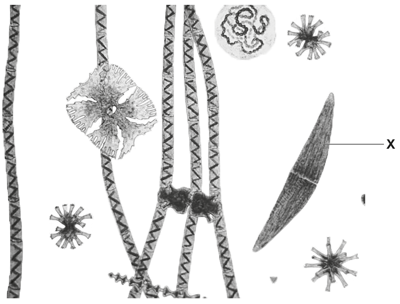 Fig. 1.1
