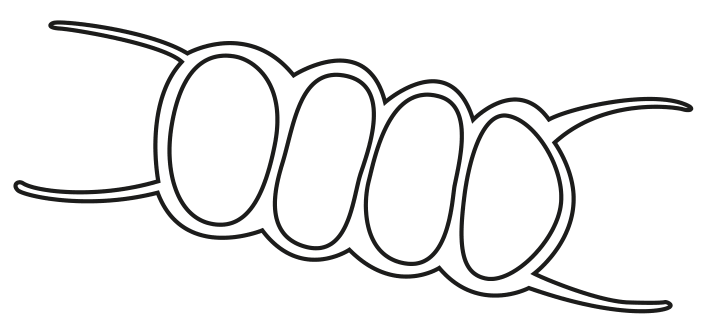 Fig. 1.2