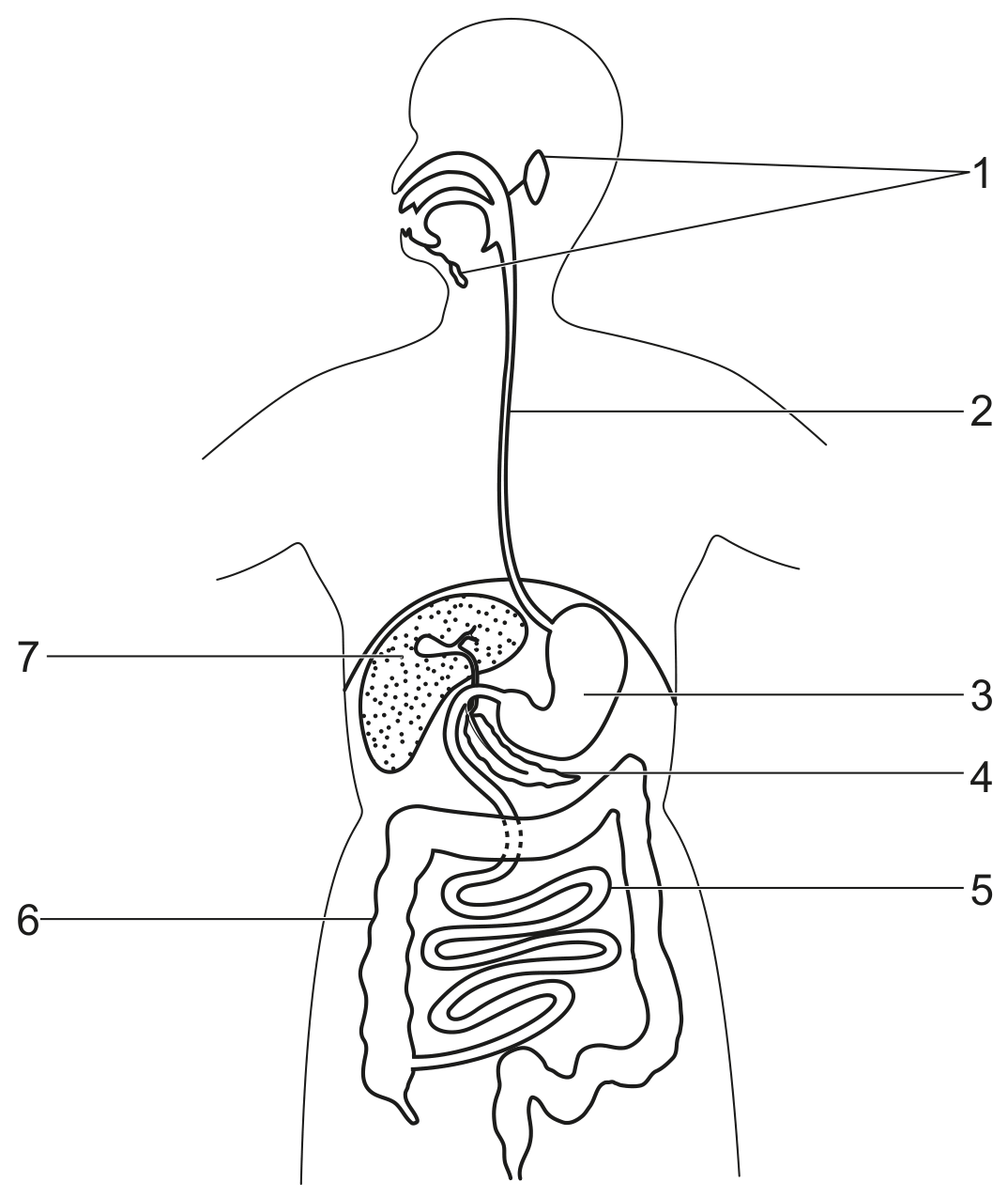 Fig. 2.1