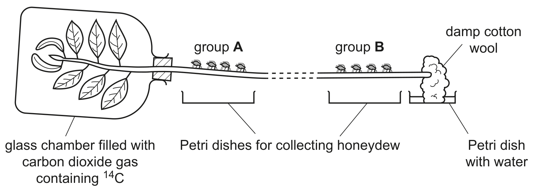 Fig. 3.2