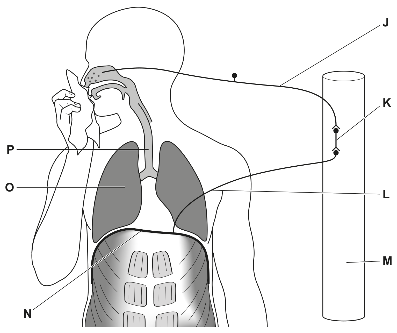 Fig. 1.1