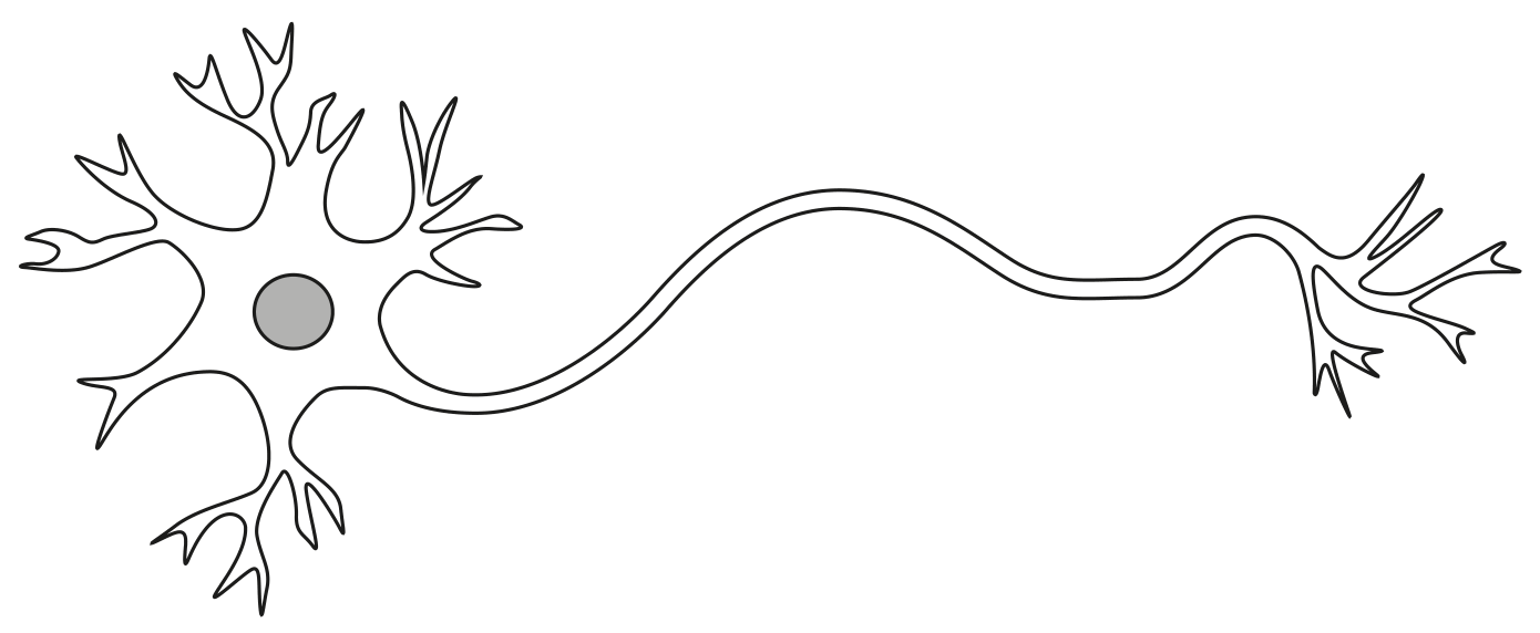 Fig. 1.2