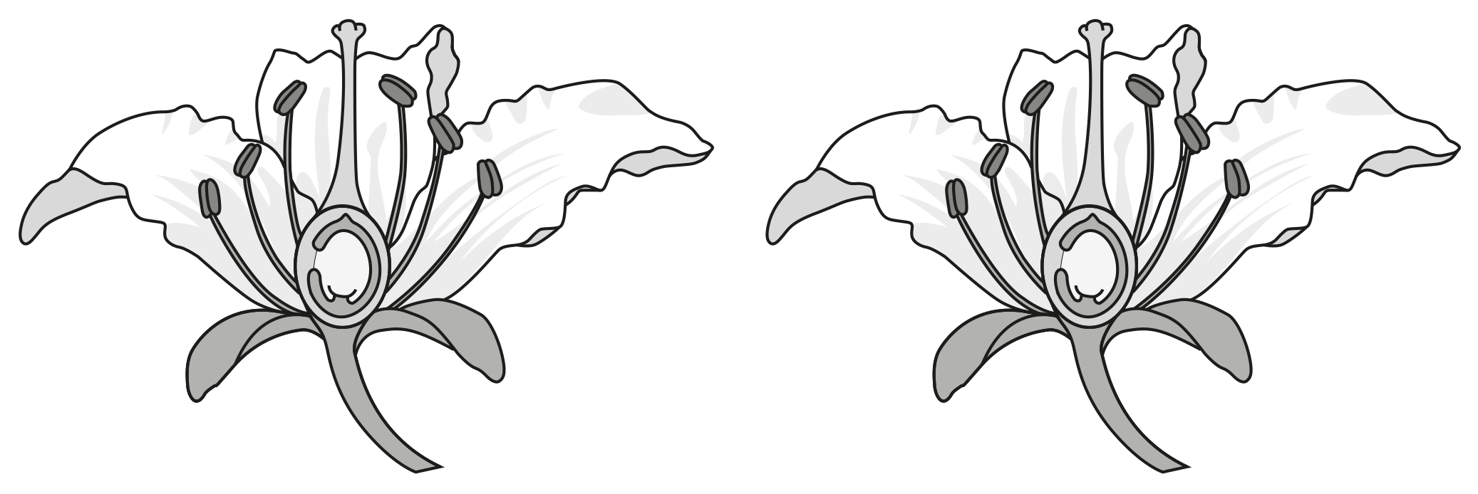 Fig. 3.3