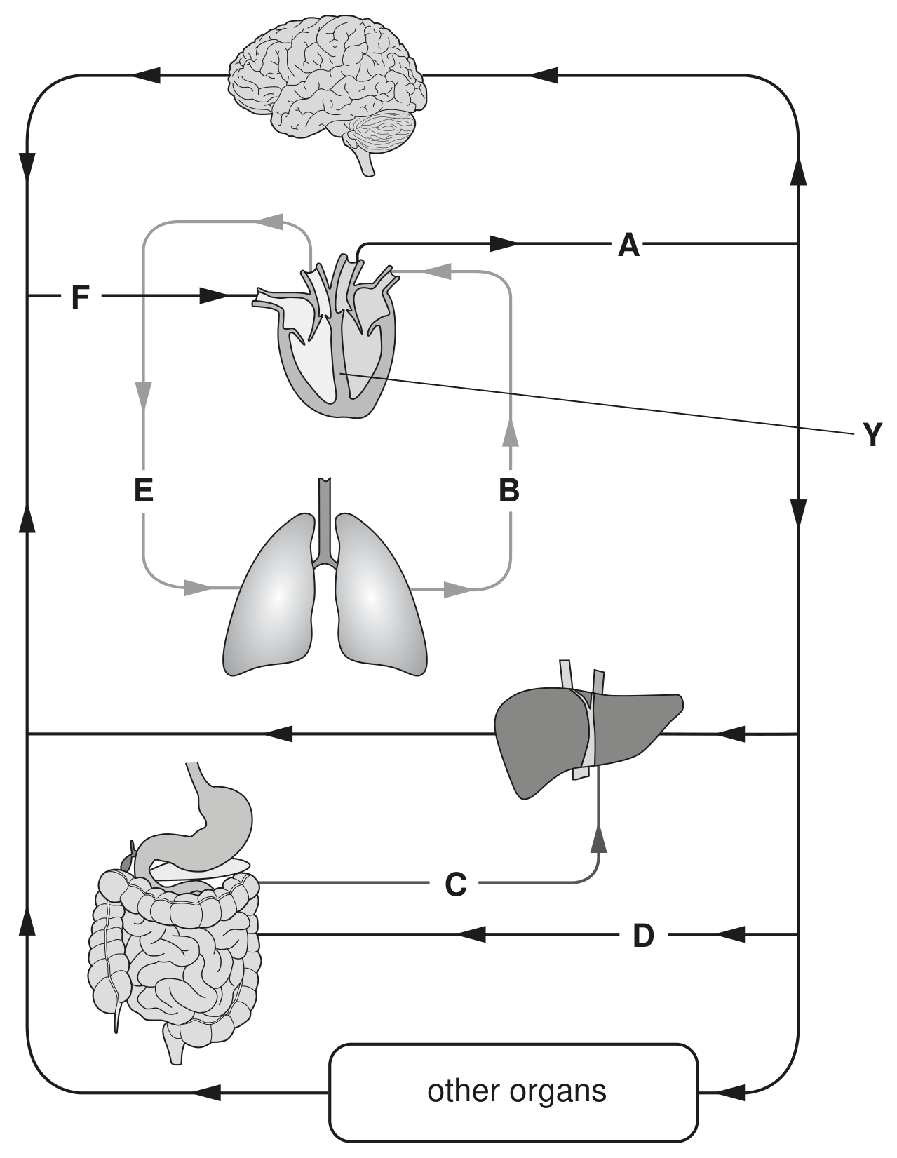 Fig. 1.1